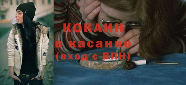 гидра Богородск