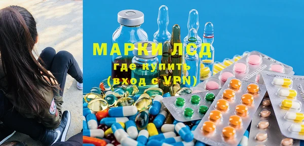 гидра Богородск