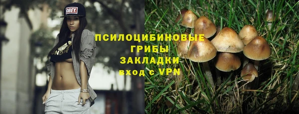 гидра Богородск