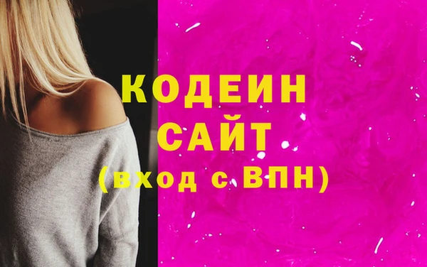 гидра Богородск