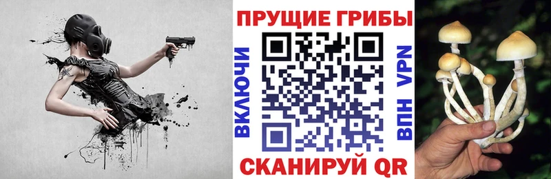 Галлюциногенные грибы Cubensis  Дальнереченск 